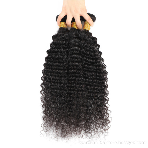 9a 100g SPARK Brazilian Remy Human Hair Bundle for Women Raw Virgin Hair Extension Natural Black Deep Wave Wave Wet and Wavy